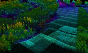 Point Cloud View